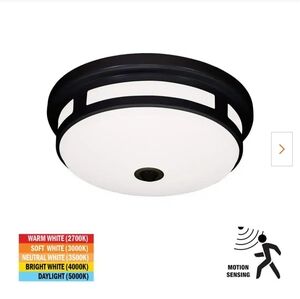 Hampton Bay Greenhaven Medium Exterior 11in LED Color Changing Flush Mount Motio